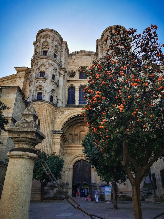 domiciliar sociedad Málaga